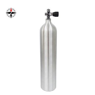 Cad é an Brú Caighdeánach Do Sorcóirí Dé-ocsaíd Charbóin?